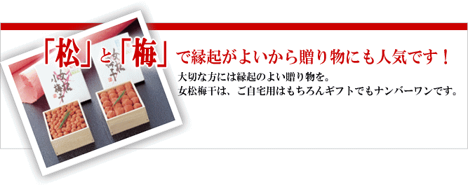 贈り物・ギフト特集はこちら!